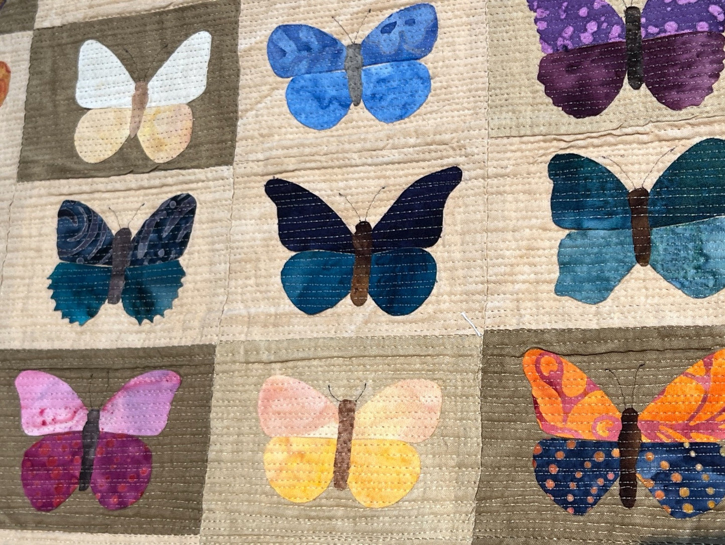 Butterflies & Moths