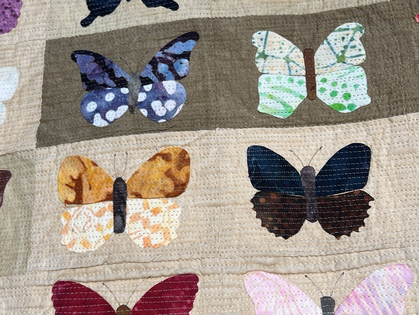 Butterflies & Moths