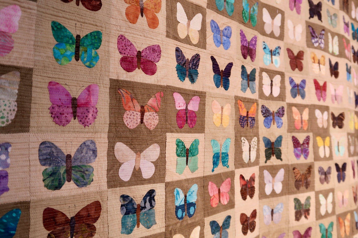 Butterflies & Moths