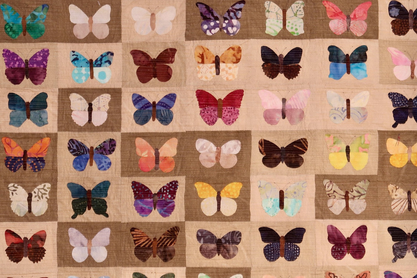Butterflies & Moths