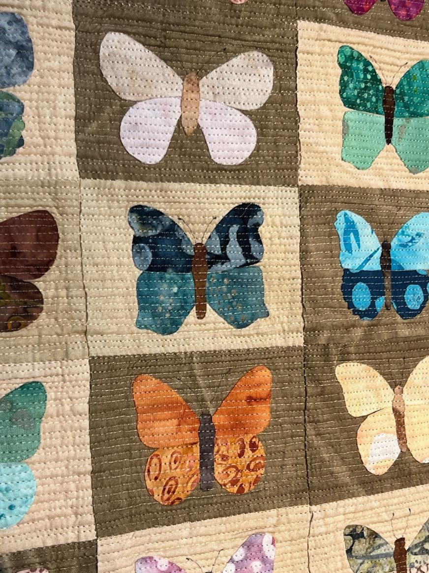 Butterflies & Moths