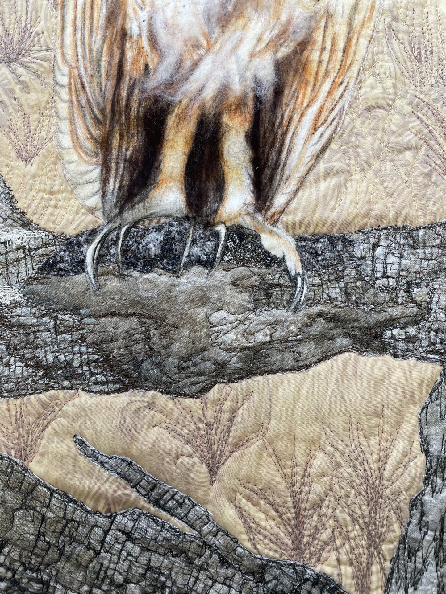 Barn Owl
