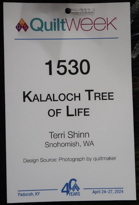 Kalaloch Tree Of Life