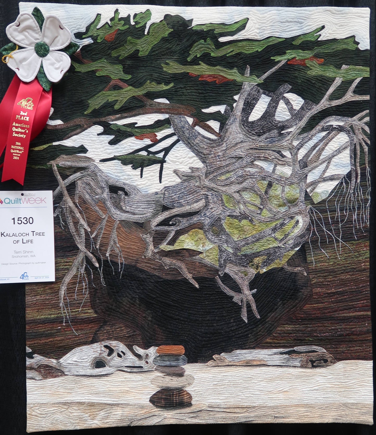 Kalaloch Tree Of Life