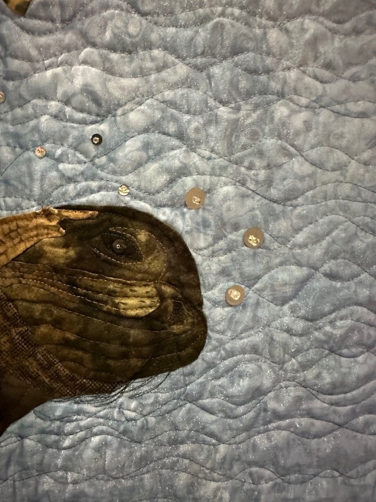 Galapagos Joy