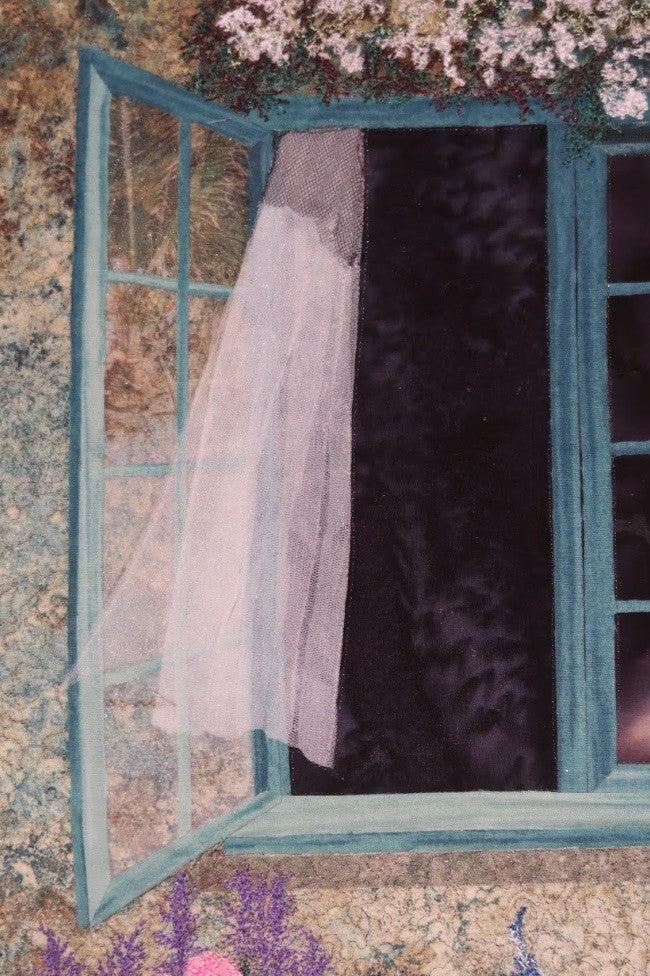 Garden Window