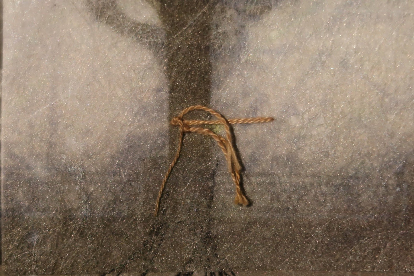 Intertwined