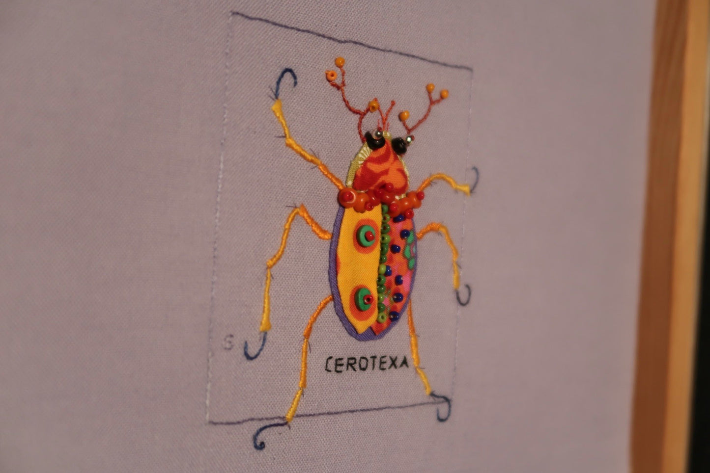 Mexican Bean Beetle