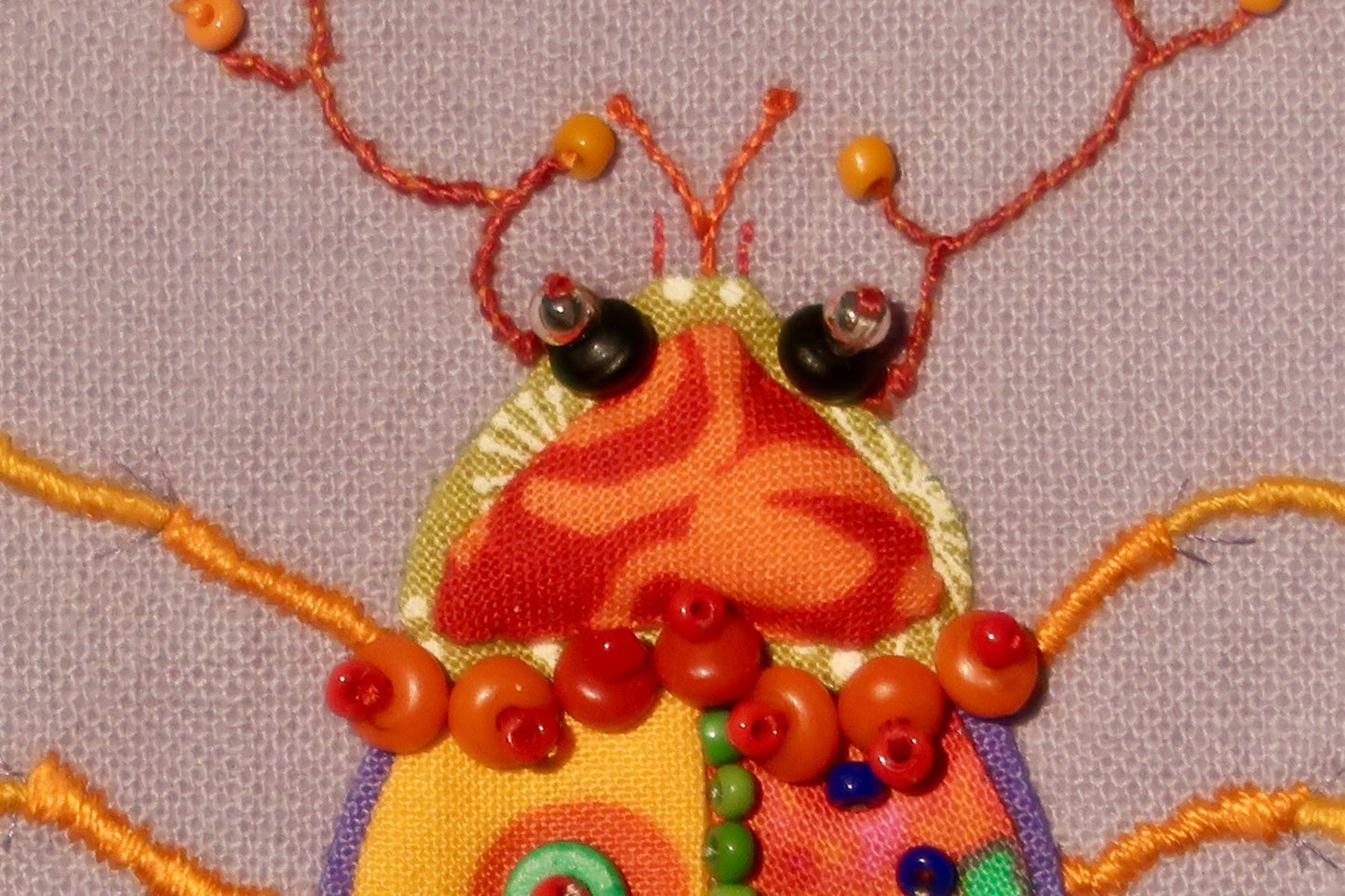 Mexican Bean Beetle