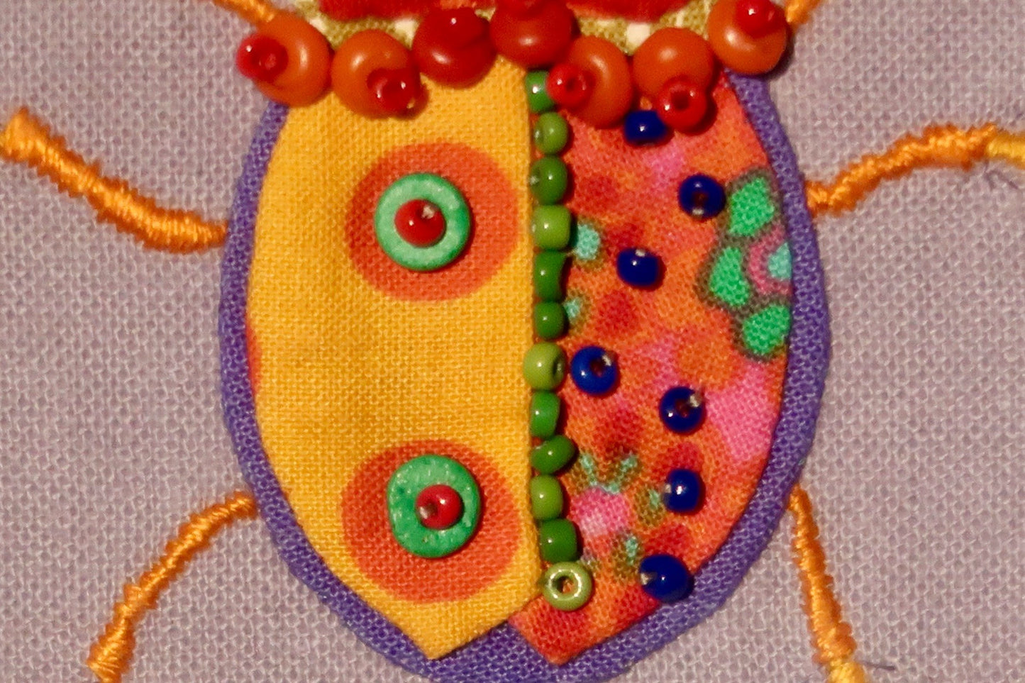 Mexican Bean Beetle