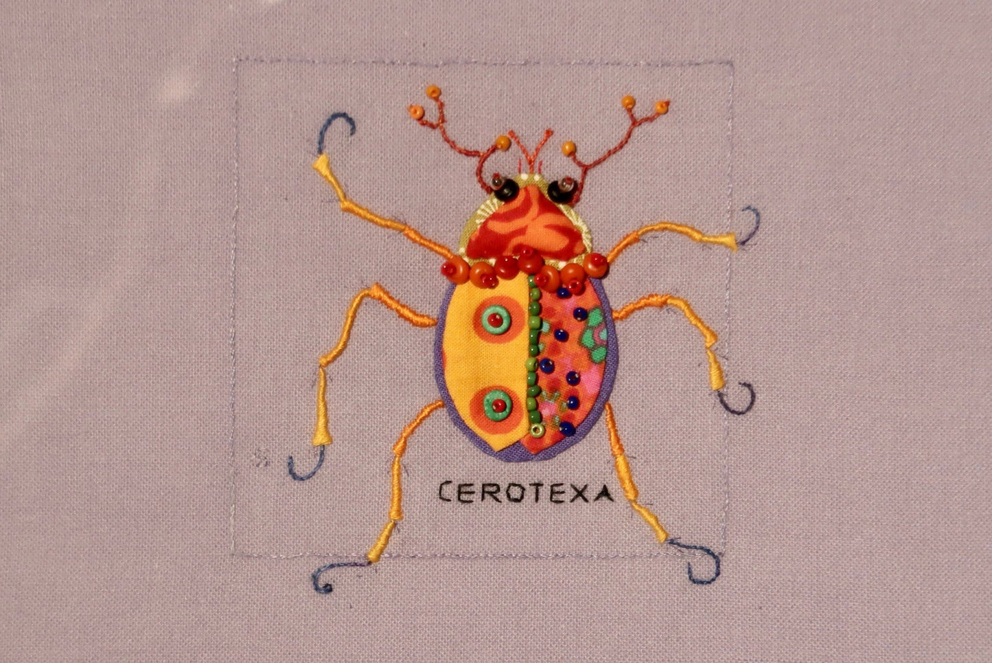 Mexican Bean Beetle