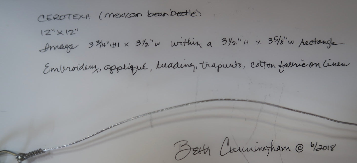 Mexican Bean Beetle
