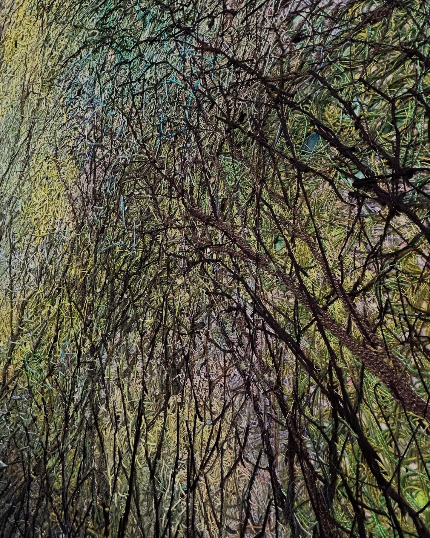 Viriditas (Greenness)
