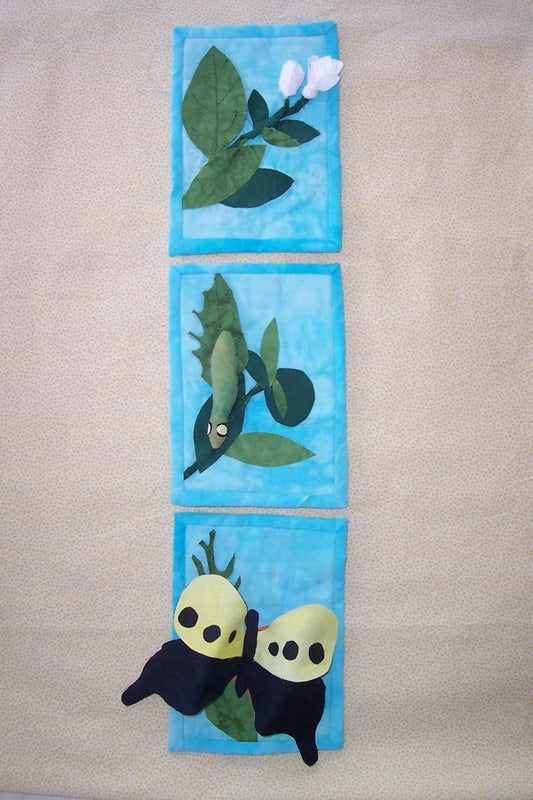 Microcosmos 2007 entry