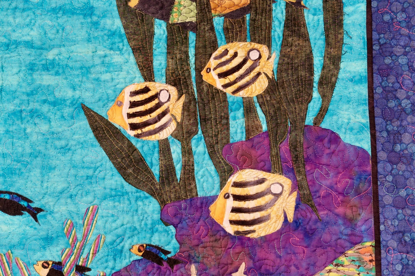 Pacific Coral Reef