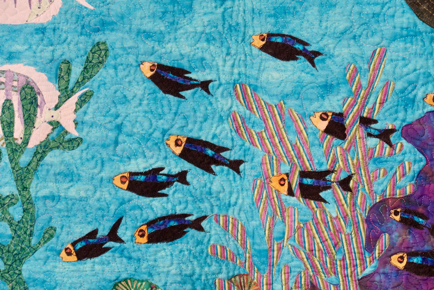Pacific Coral Reef