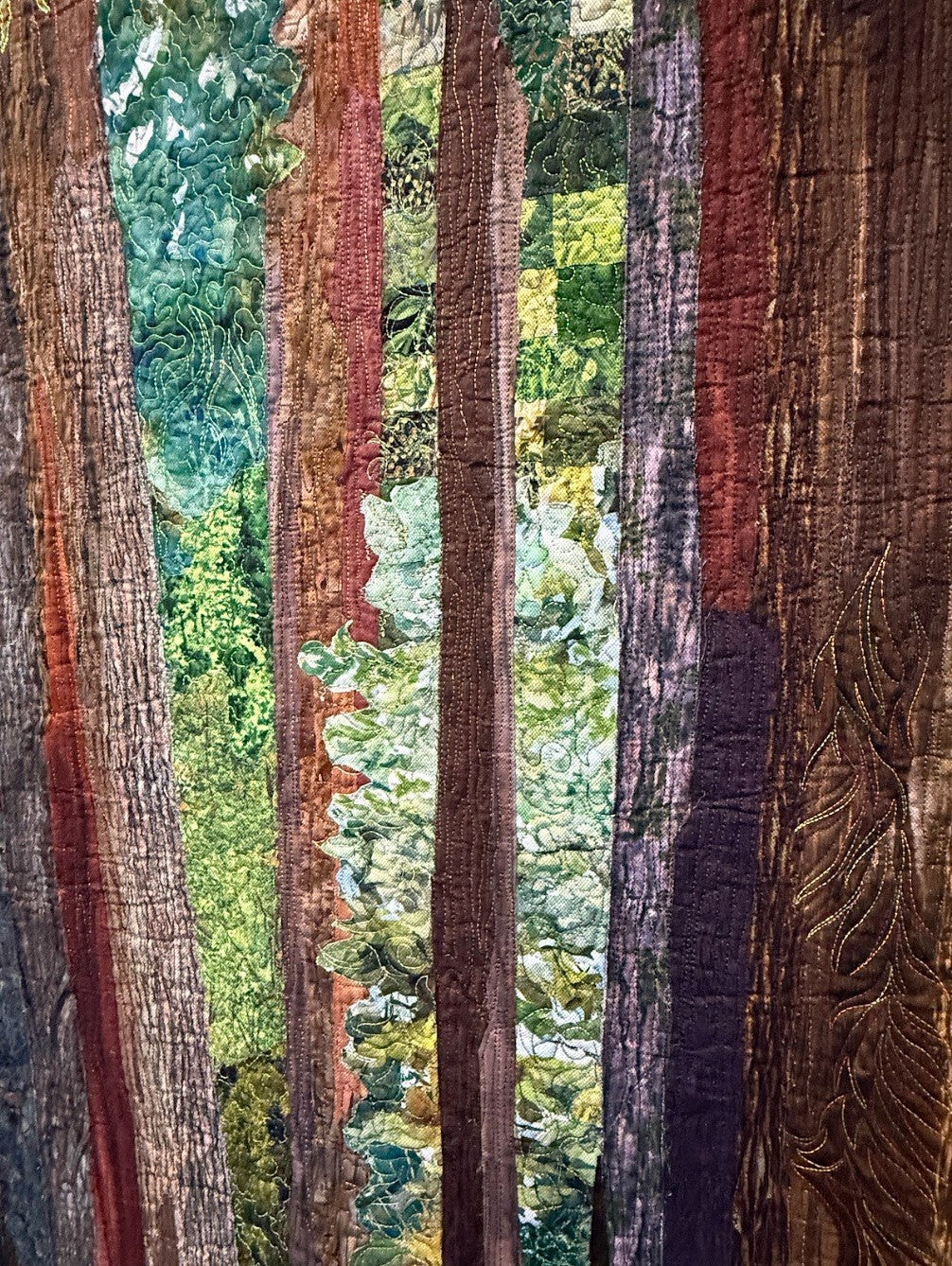 Glimpse Into the Forest