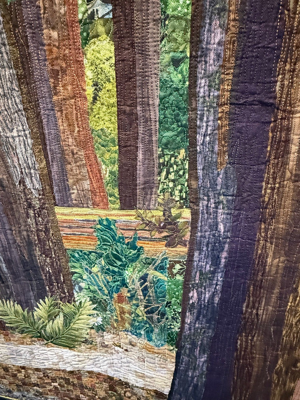 Glimpse Into the Forest