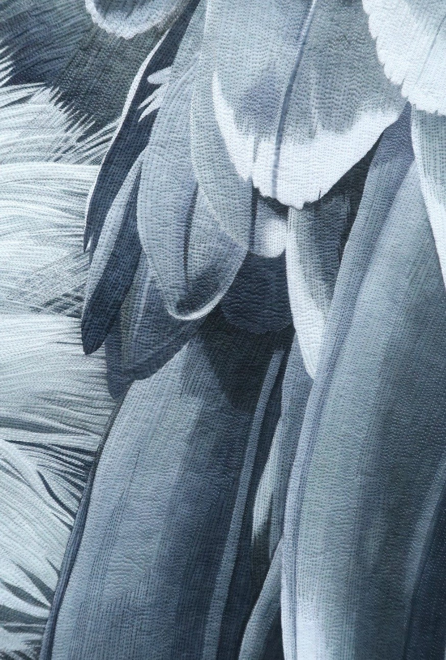 High Flying R√ºppell's Griffon Vulture