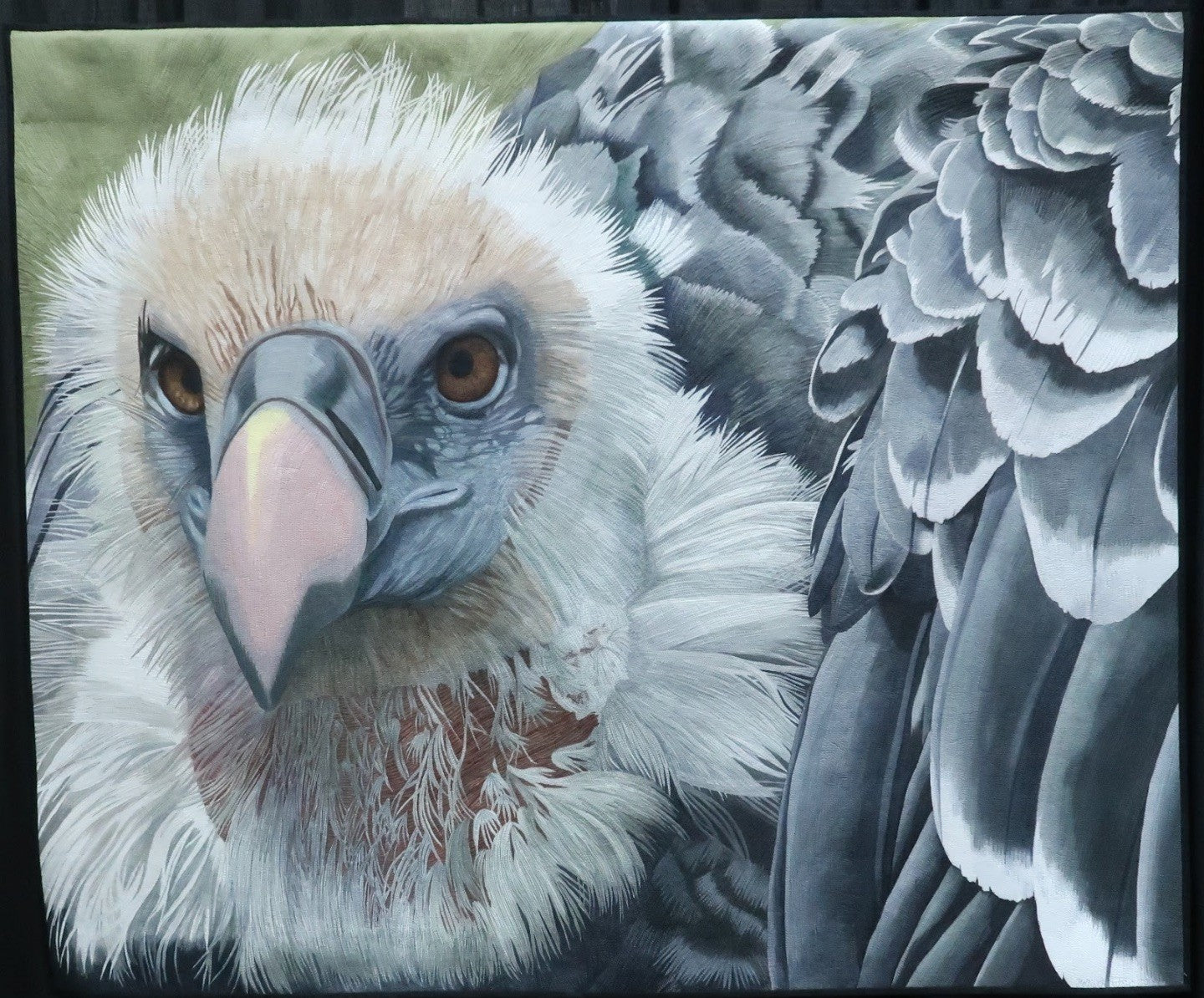 High Flying R√ºppell's Griffon Vulture