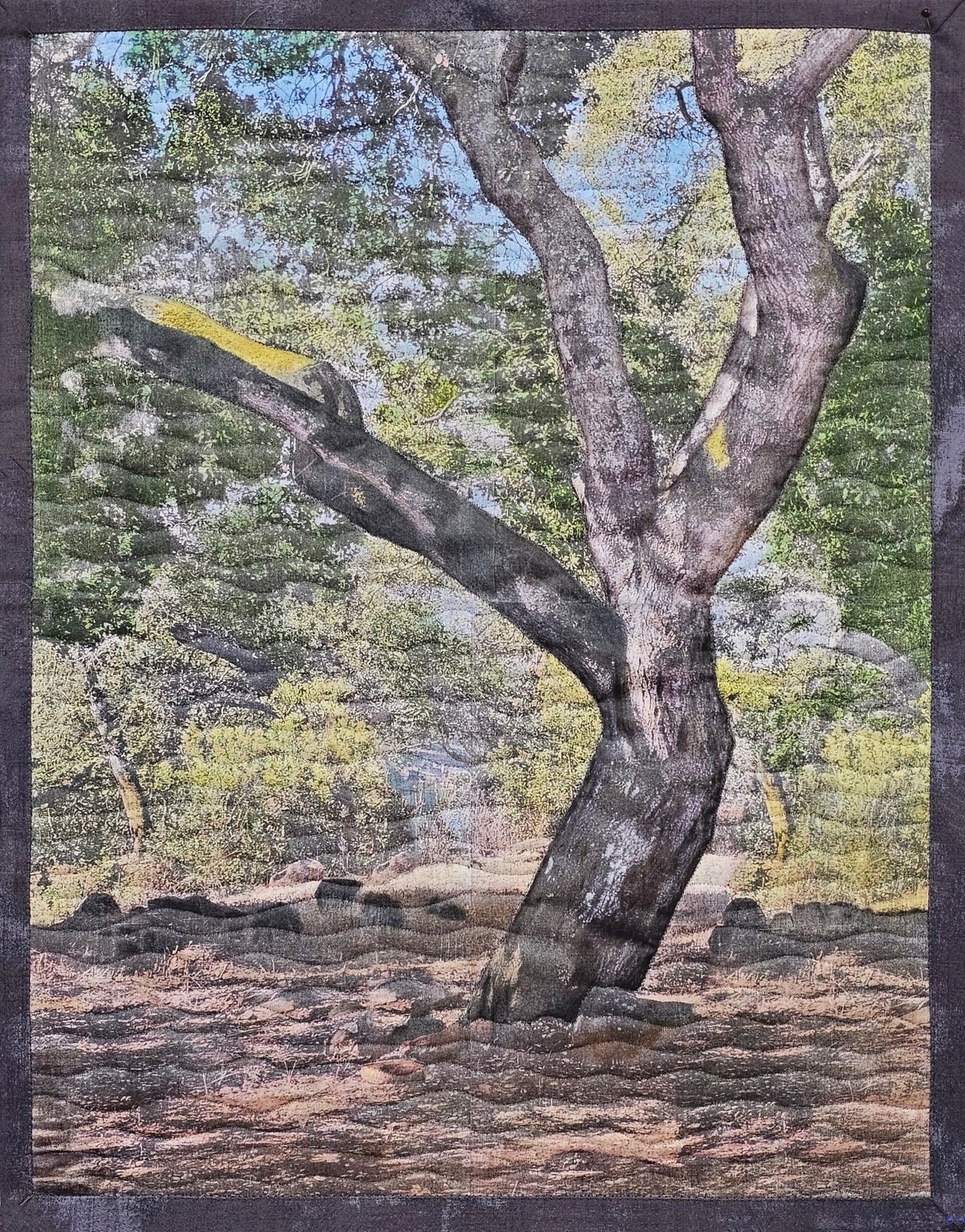 Tree in My Backyard