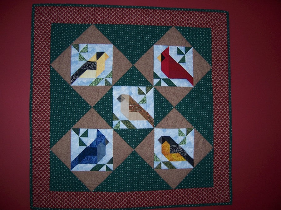 Backyard Birds