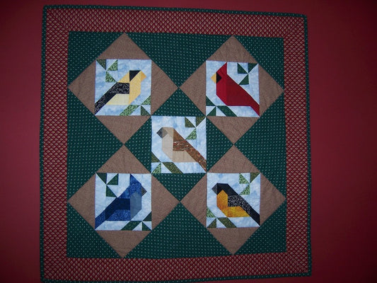 Backyard Birds