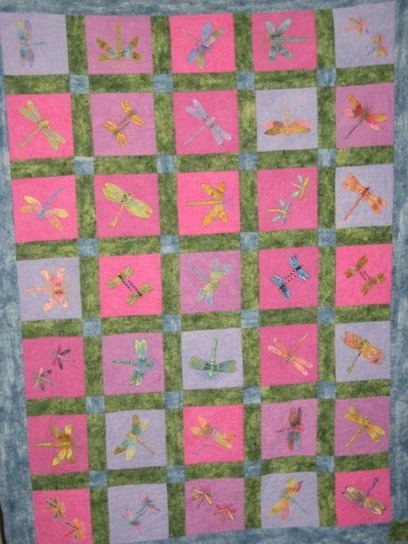 Tommy's Dragonflies