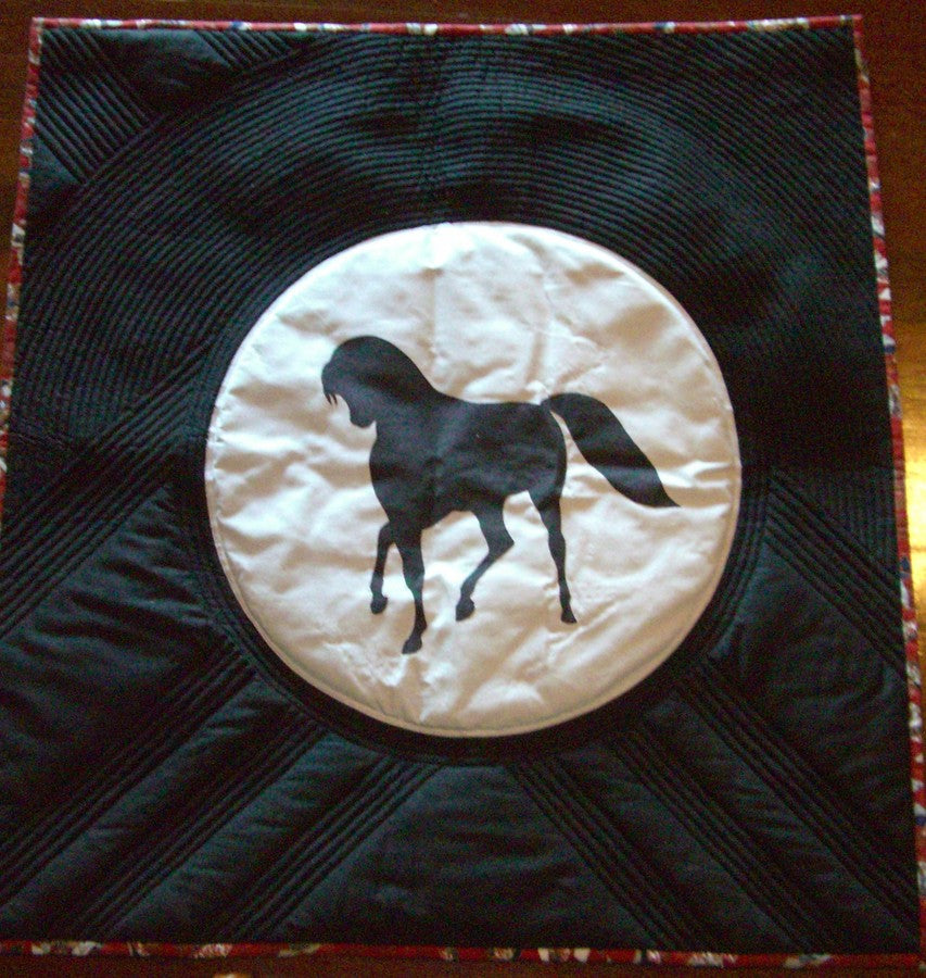 Horse in moon refelection