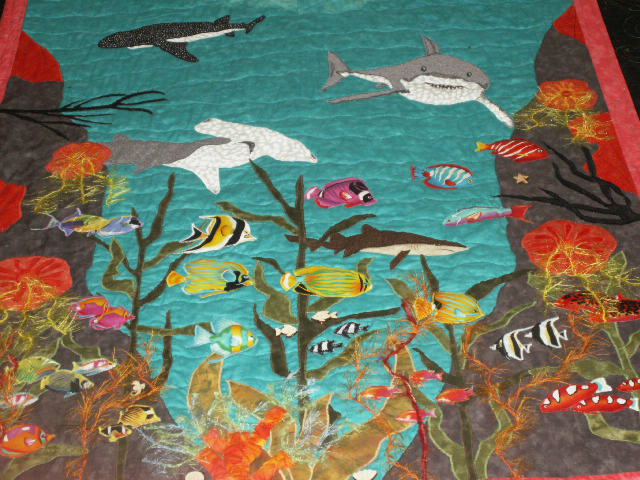Shark Reef