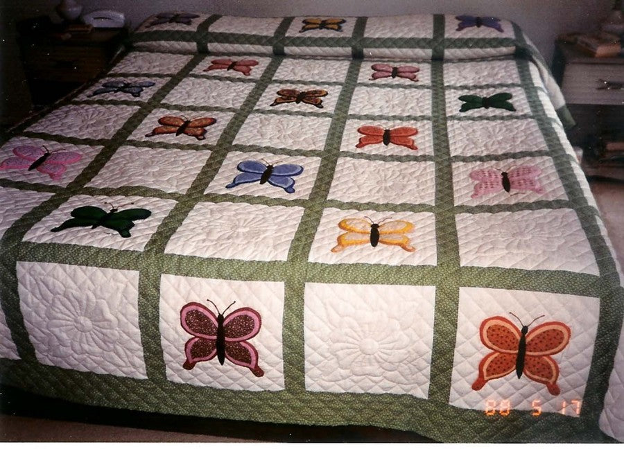 "VALLEY BUTTERFLY"