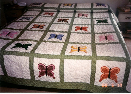 "VALLEY BUTTERFLY"