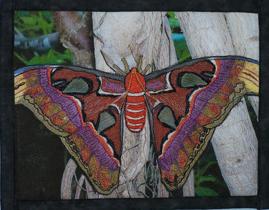 Ethereal Moth