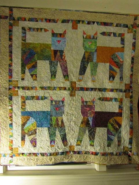 Colorco Cats