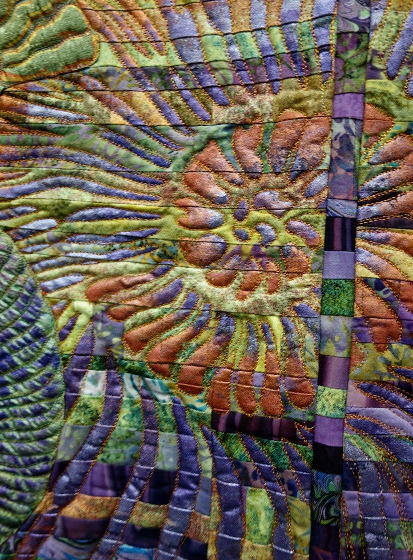 Ammonite Celebration