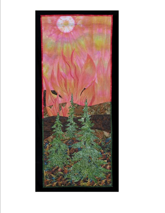 "Rim Fire" Yosemite