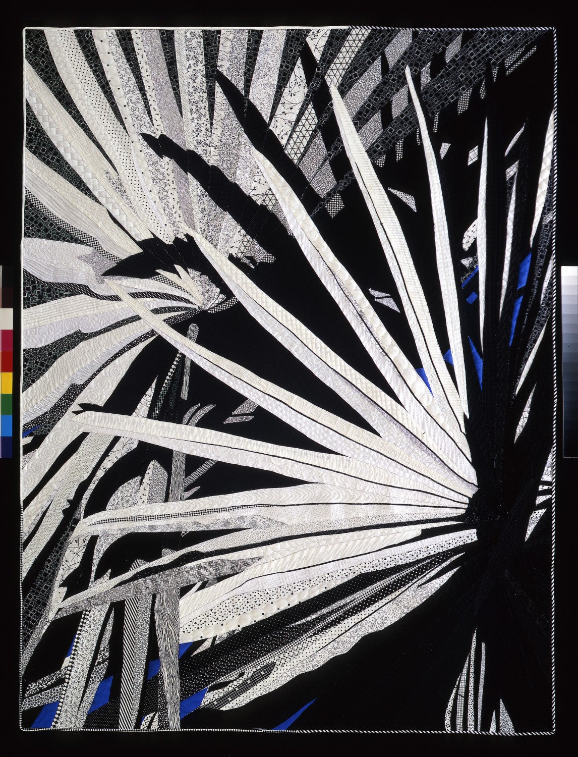 Palm