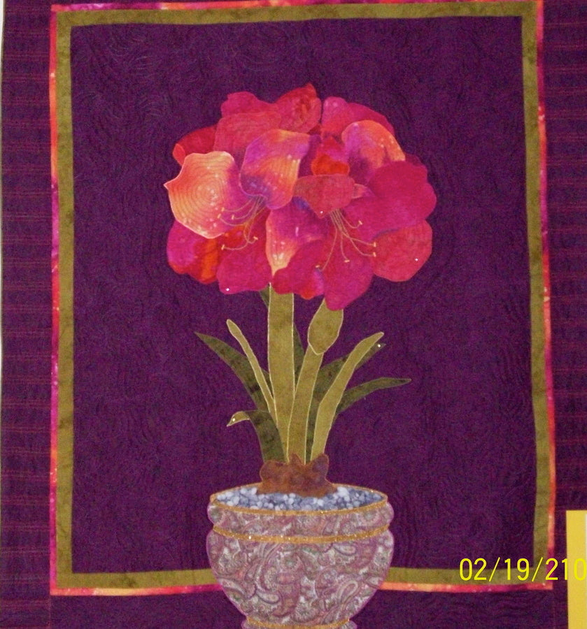 Amaryllis