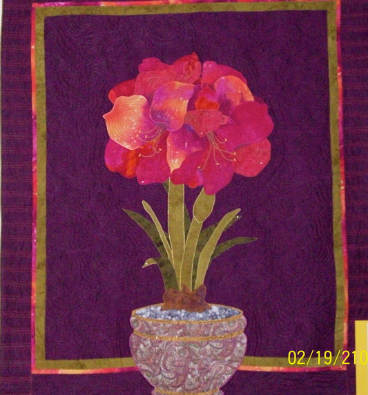 Amaryllis