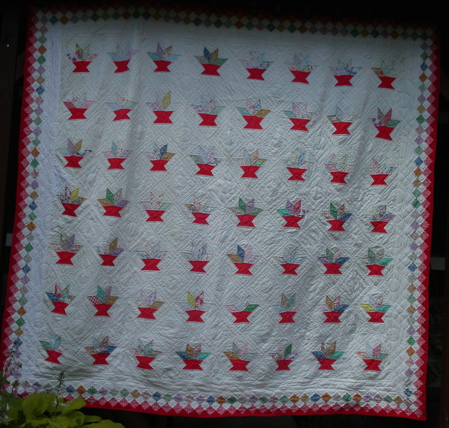 Amanda's Cactus Basket