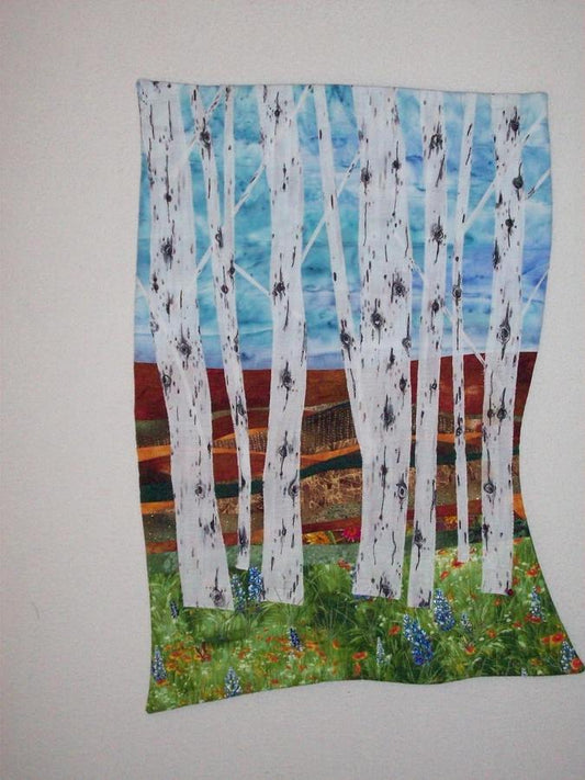 Aspen Series #1