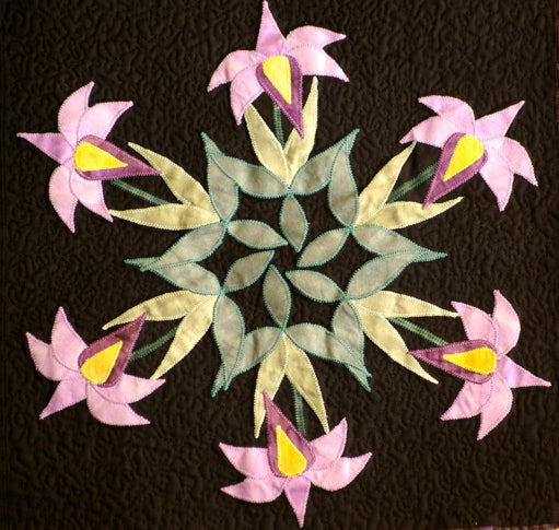 Every Quilter Dreams