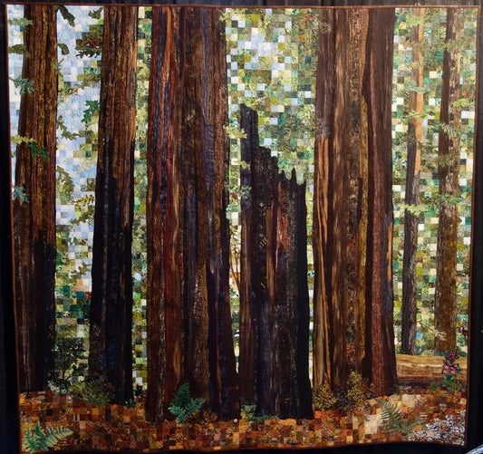 Majestic Redwoods