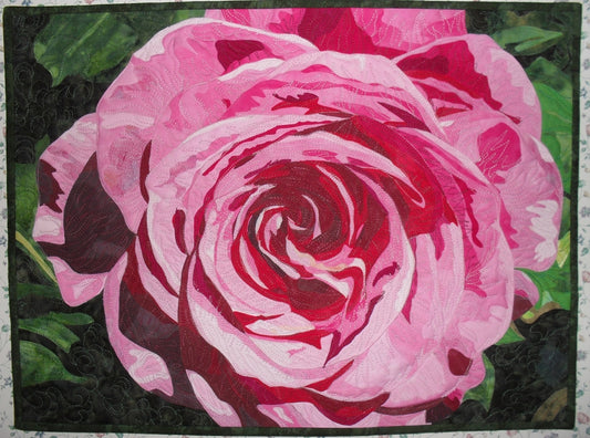 Last summer rose