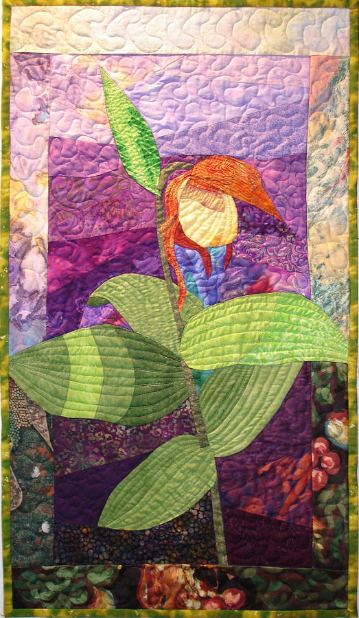 Lady Slipper Orchid