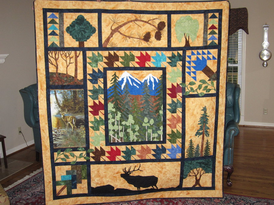 Woodland Wonders