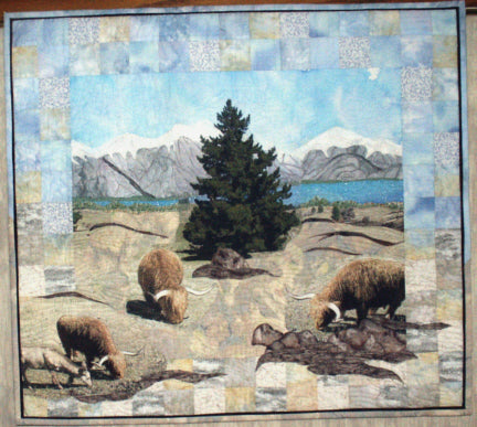Highland Cattle in the NZ Remarkable Mountains