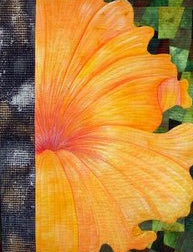 Orange bloom