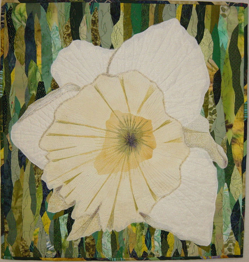 Daffodil