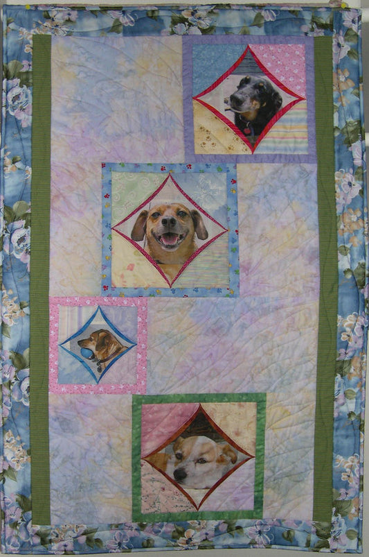 Jill's Dogs